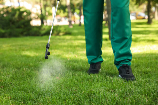 Best Local Pest Control Services  in Hot Springs, AR