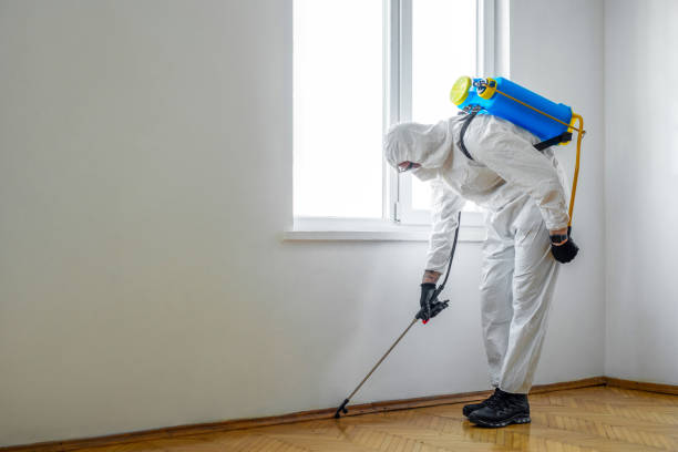 Best Best Pest Control Companies  in Hot Springs, AR