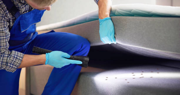 Best Rat Extermination Near Me  in Hot Springs, AR