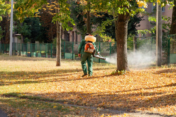 Trusted Hot Springs, AR Pest Control Experts