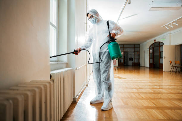 Best Local Pest Control Services  in Hot Springs, AR
