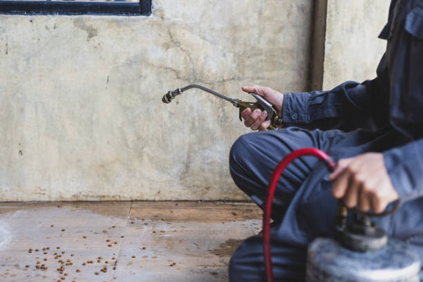 Best Mosquito Control Services  in Hot Springs, AR