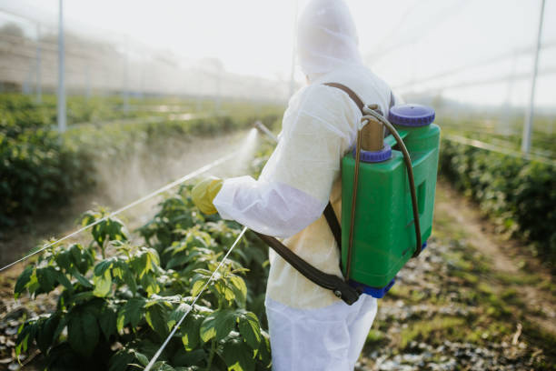 Best Affordable Pest Control Services  in Hot Springs, AR